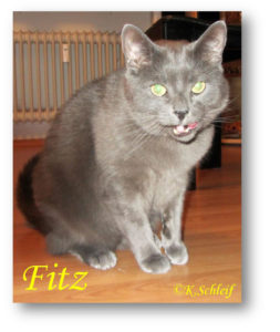 Fitz.2023