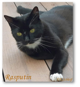 Rasputin.2023